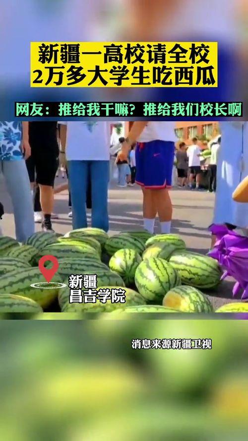 各高校吃瓜网站,揭秘各大校园吃瓜网站热点事件盘点  第3张